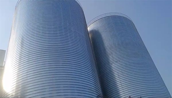 峨蔓镇2座混凝土高架卷板仓